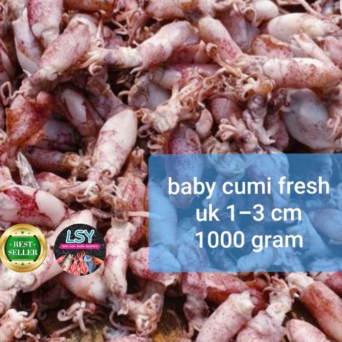 

SALE!!ikan asin baby cumi / cumi rebus 78 berat 1kg|RA1