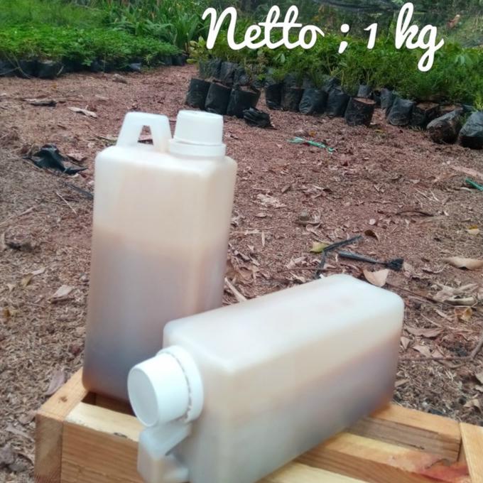 

BIG SALE MADU CURAH MULTIFLORA SUPER 1KG TERBAIK