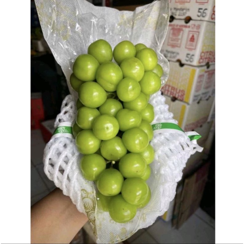 

Shine Muscat Anggur (manis crunchy)