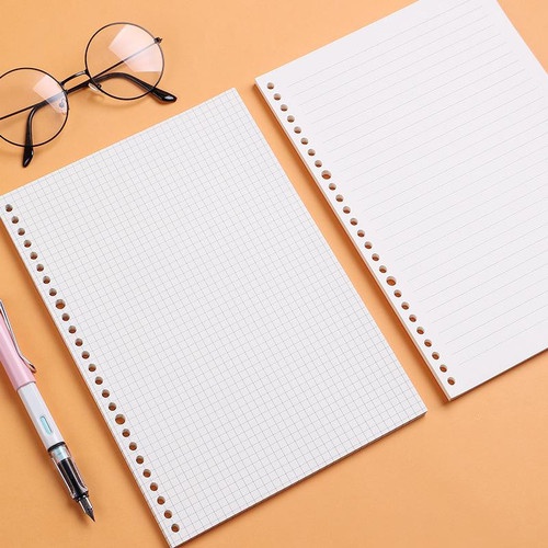 

26 ring loose leaf B5