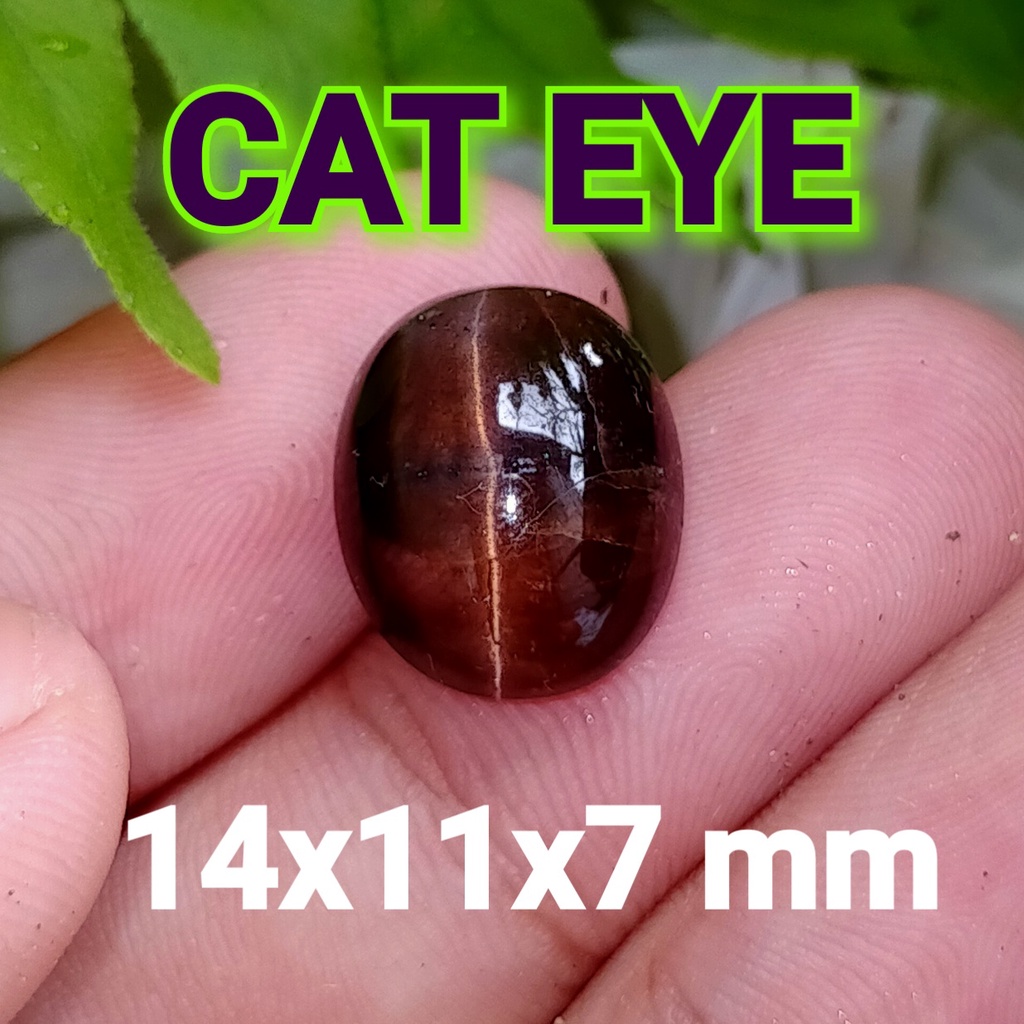 BATU CAT EYE NATURAL ALAM ASLI BESAR bukan ruby wulung bacan akik zamrud katilayu cincin pria wanita