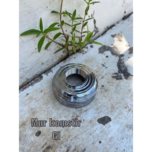 murkomstirgl,cb,tiger