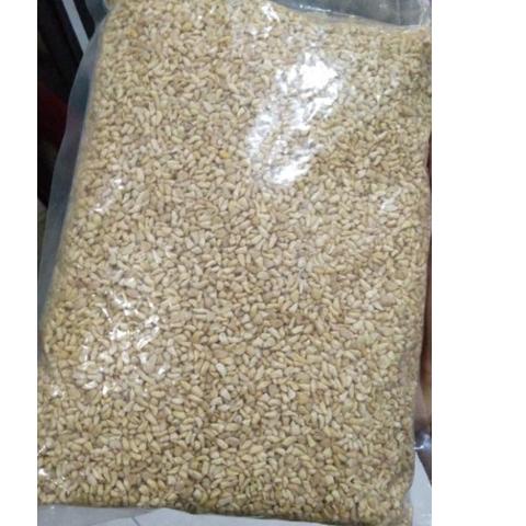 

COD✔️kacang mede menir/kacang mete menir/hancuran|SQ9
