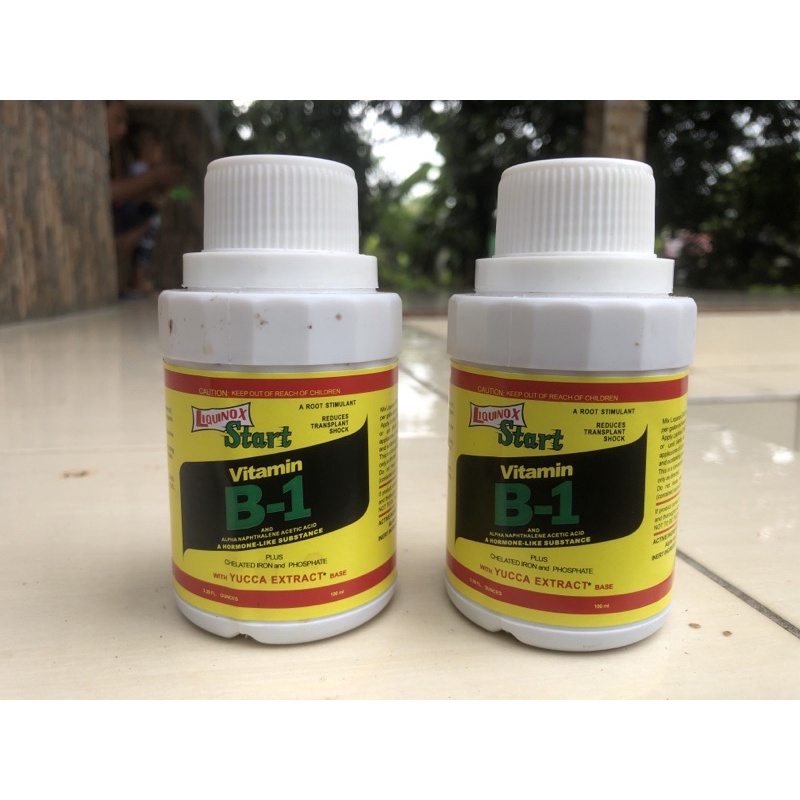 Vitamin B1 Tanaman