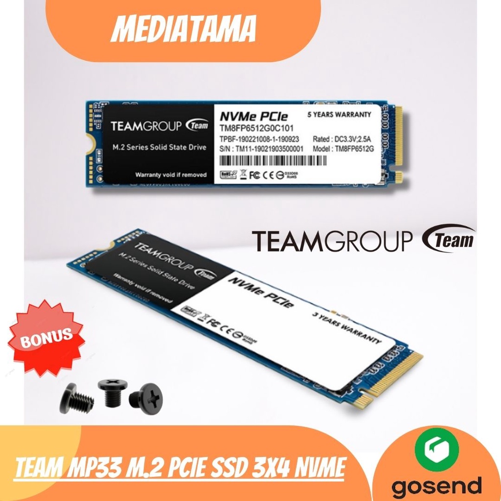 Team MP33 SSD Team Group Internal NVMe PCIE 3.0 x 4 NVME 1.3 256GB / 512GB / 1TB