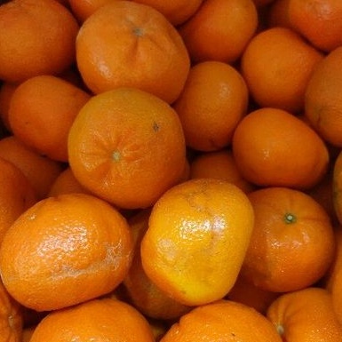 

Jeruk Citrus Australian Import 1kg