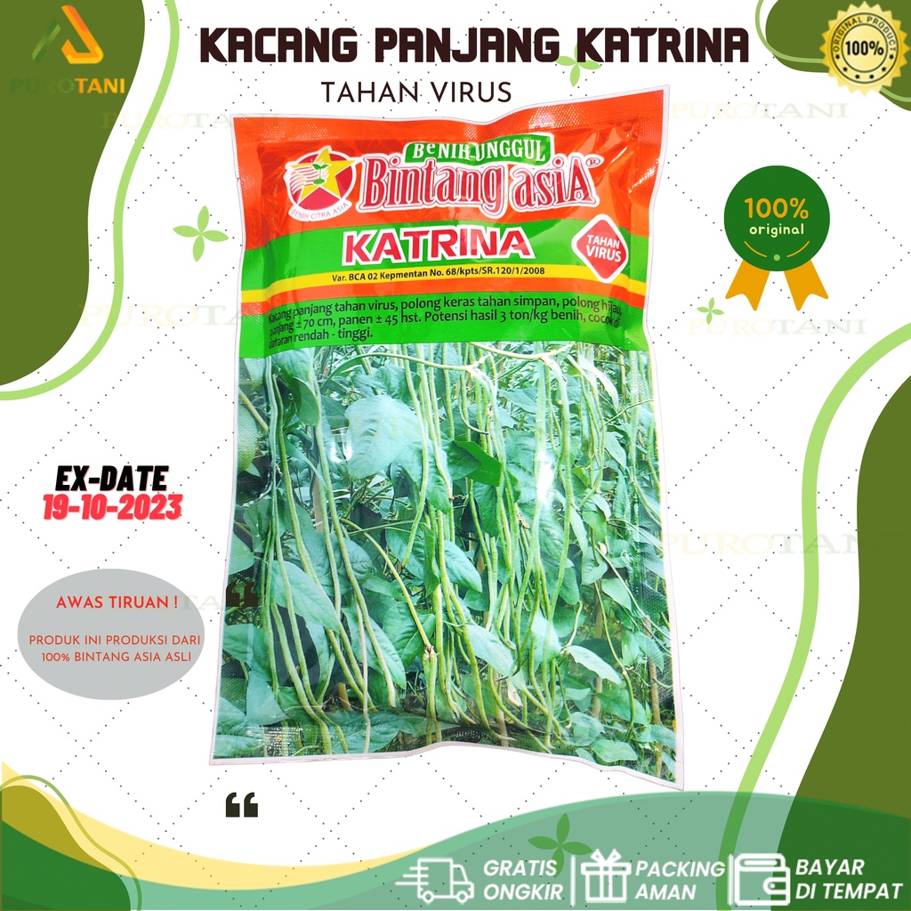 Biji Kacang Panjang Tahan Virus Kuning KATRINA 500 Gram Bintang Asia