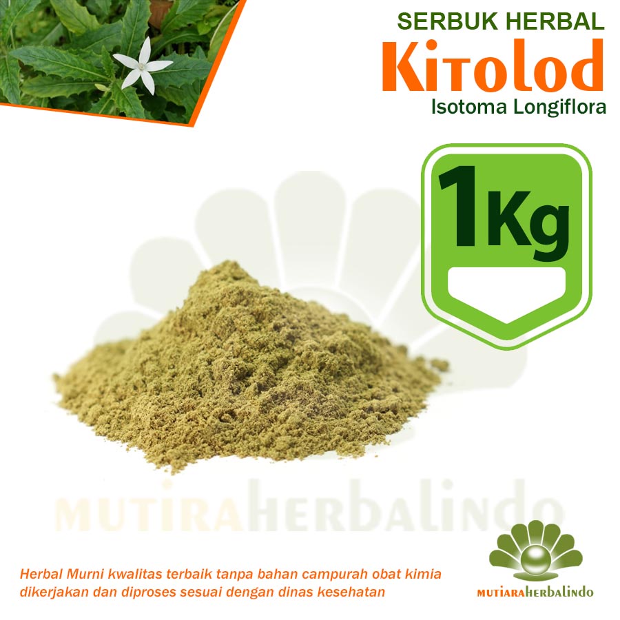 

1KG Bubuk KITOLOD Herbal Mata Minus Katarak Radang Tenggorokan Kanker