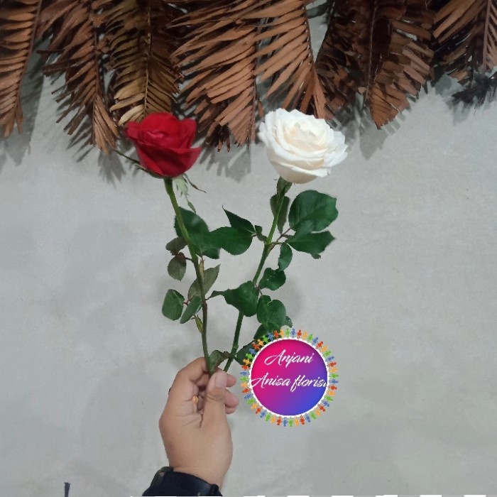 Bunga Bunga Mawar Asli/Bunga Mawar Satuan