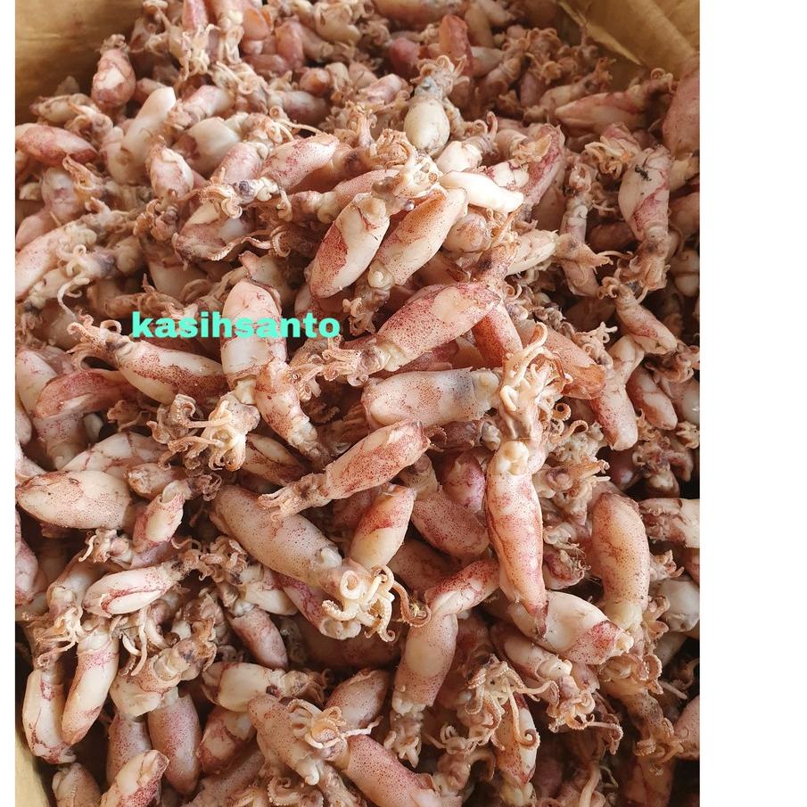 

BAYAR DITEMPAT✔️ikan asin cumi beby-1kg|KD7