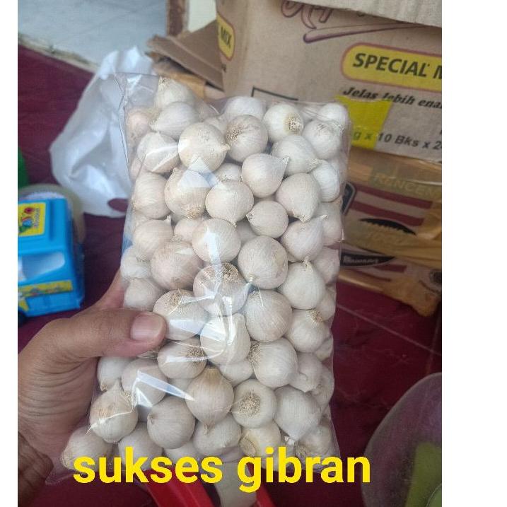 

Import ✨Terbaik✨ Bawang putih tunggal atau lanang 250 gram gas !!