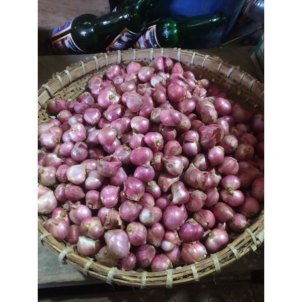 

Bawang Merah Besar Ukuran sama Besar-besar