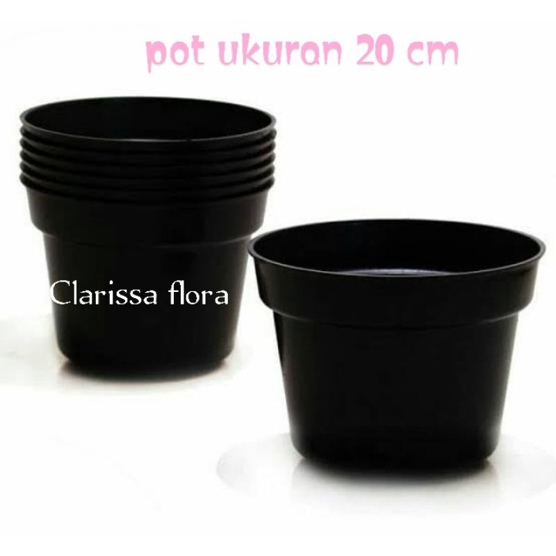 Pot tanaman hias ukuran 20 cm / pot warna hitam ukuran 20cm / pot pohon / pot bunga