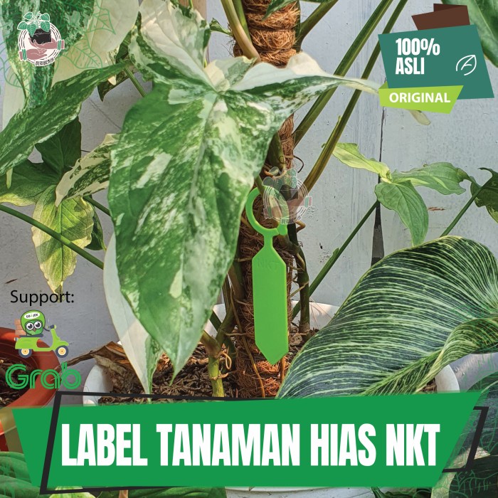 Label Tag Tanda Tulis Nama Tanggal Tanaman Hias Bibit Bunga Pot NKT Label Tanaman Warna Warni Cantik Bahan Plastik Tebal Name Tag Tanaman Anti Air