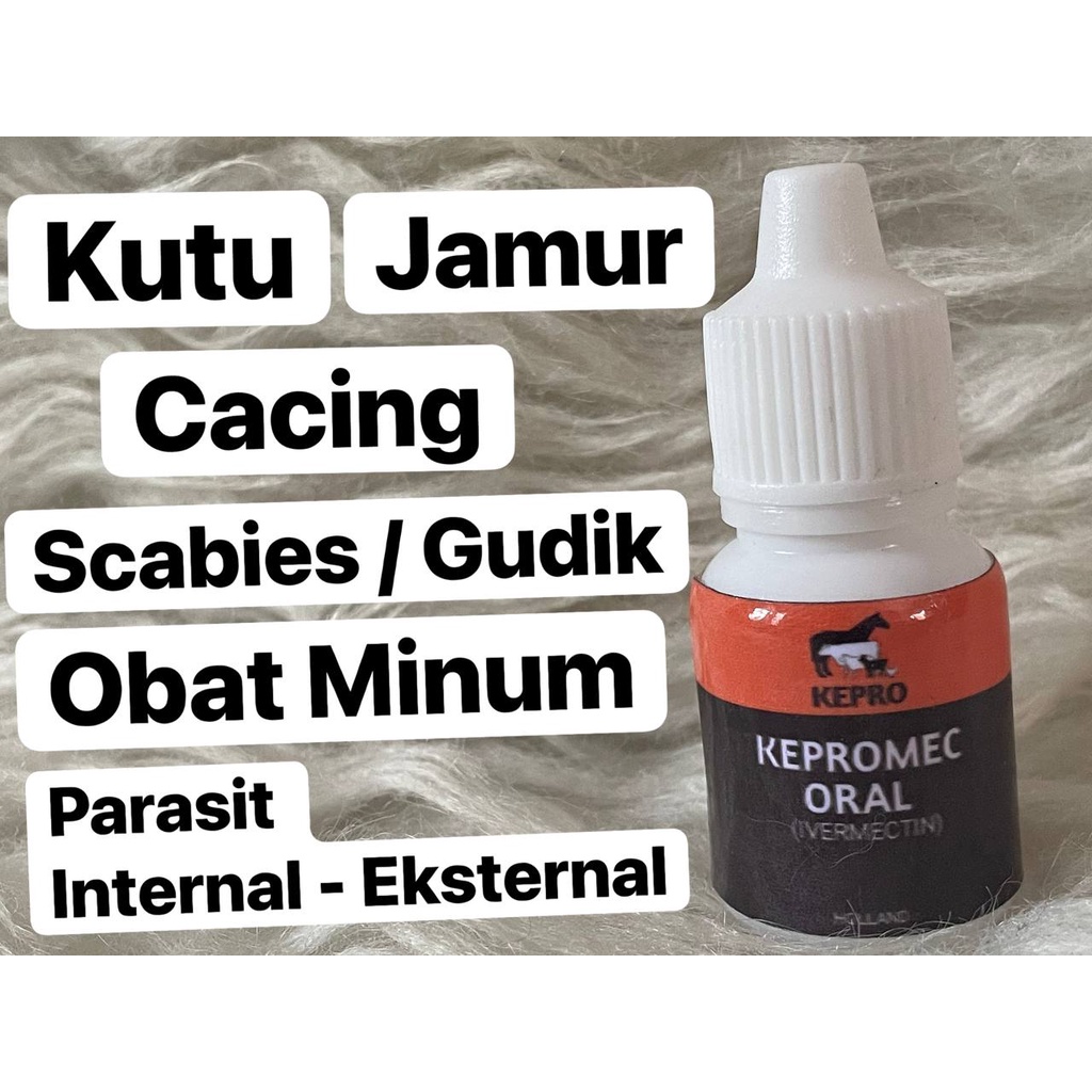 KEPROMEC ORAL Obat Gudik Jamur Scabies Kutu Kucing Kelinci Anjing Langsung Diminumkan