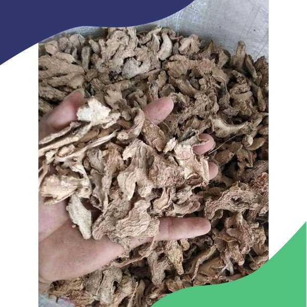 

JAHE GAJAH KERING SIAP SEDUH OBAT KUAT KEKEBALAN TUBUH 200 g siap pakai