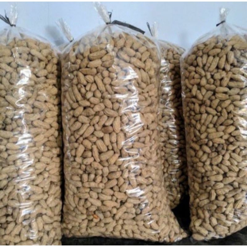 

kacang sangrai 5kg