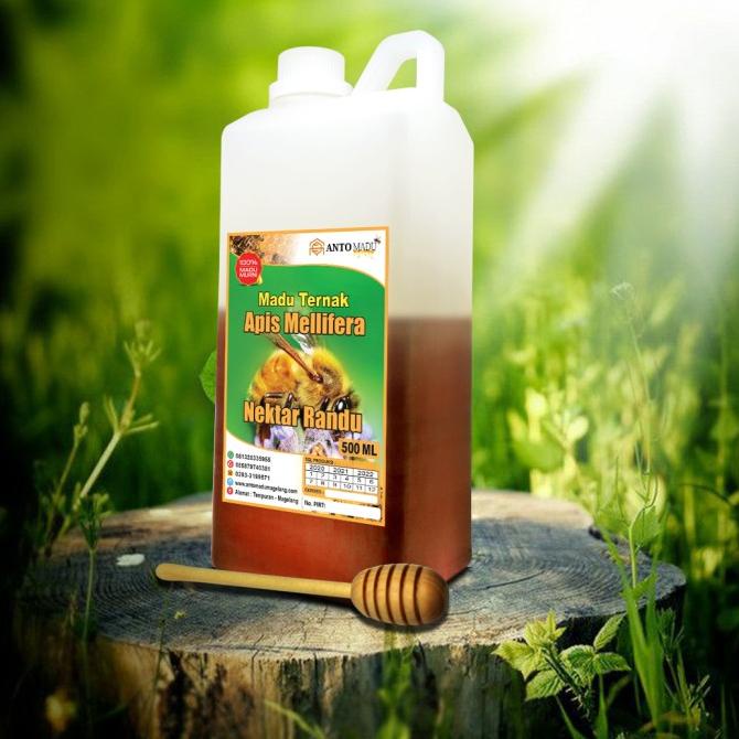 

[COD] MADU RANDU 500 ML ASLI ORGANIK 100% | Anto Madu Magelang [COD]