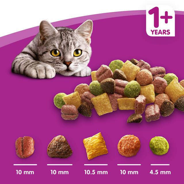 Whiskas DRY Cat Food Pouch Junior 450gr &amp; Adult 480gr / Makanan Kucing Whiskas