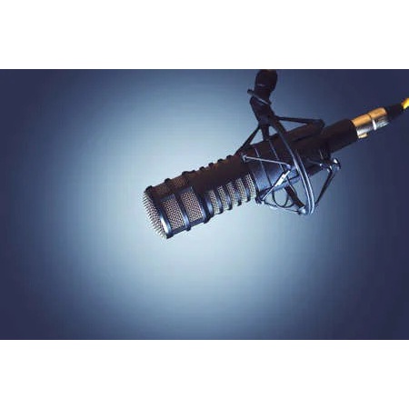 Voice Over