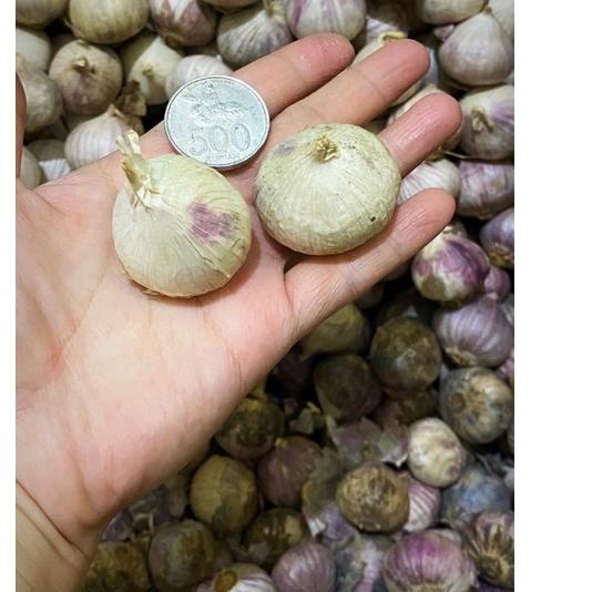 

ボ Bawang Putih Tunggal Ukuran Besar JUMBO Sedang Fresh Import 1 KG / Bawang Putih Lanang Import 1 Kilogram LANGSUNG CHECKOUT 3281 ✦