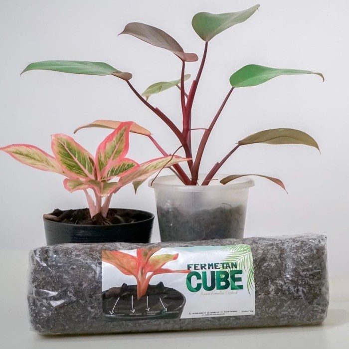 Media Tanam Fermetan Cube
