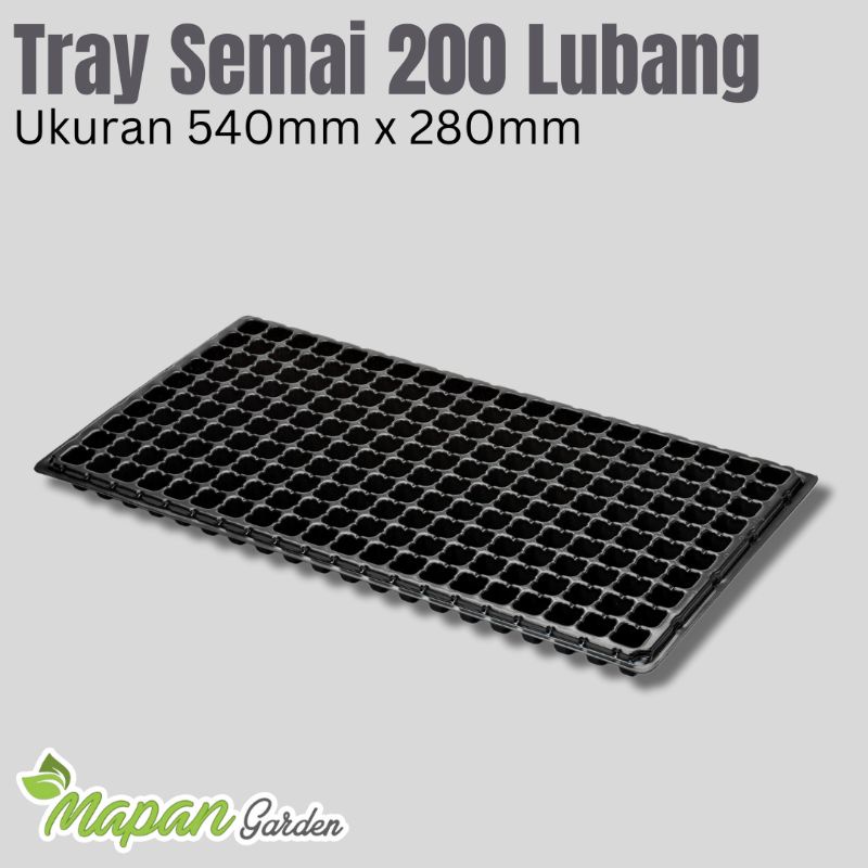 Tray Semai - 200 Lubang