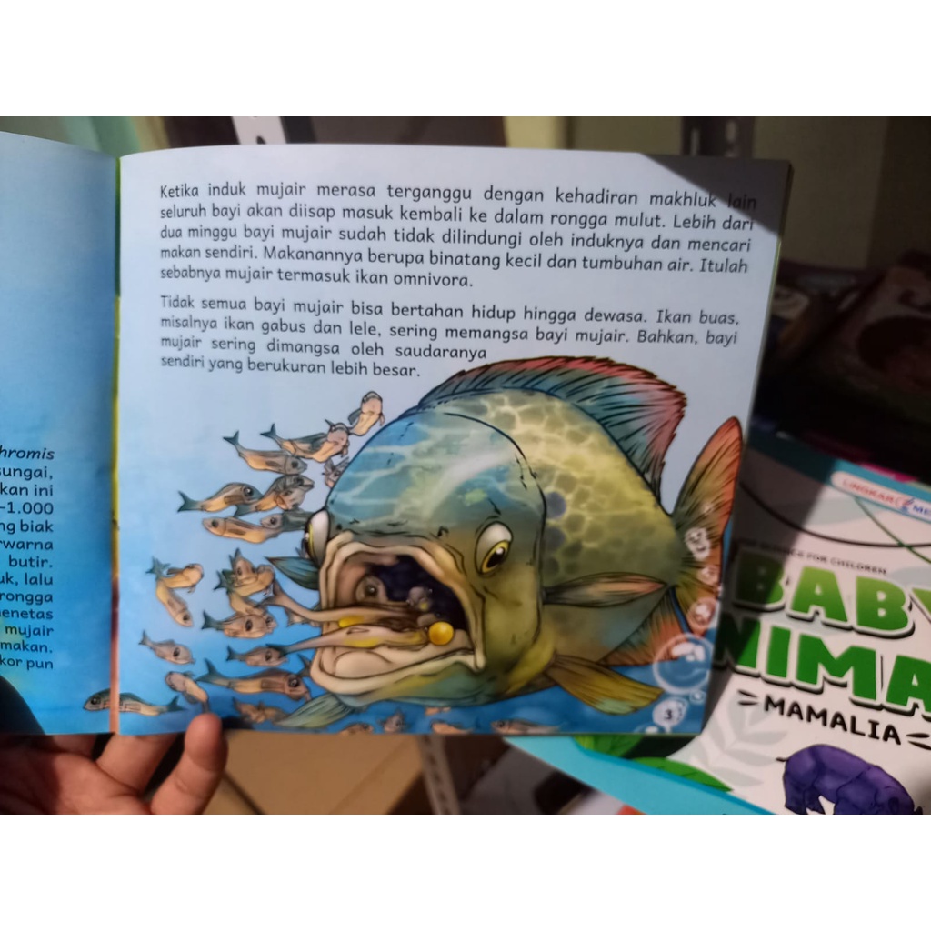 Buku Belajar Anak Seri Pengetahuan / Baby Animals / mamalia Ikan Burung / Pop Science For Children