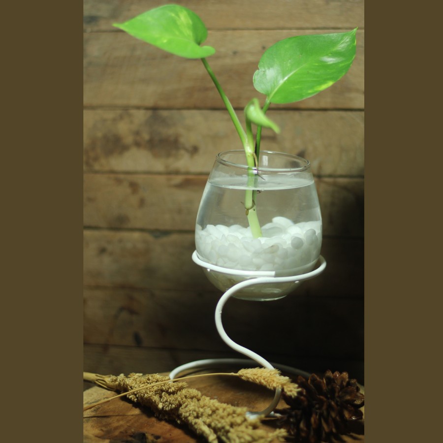 Vas Aquarium Standing Vas Daun Hijau Tanaman Air Aquarium Mini Hiasan Dekorasi Meja Kantor Ruangan C