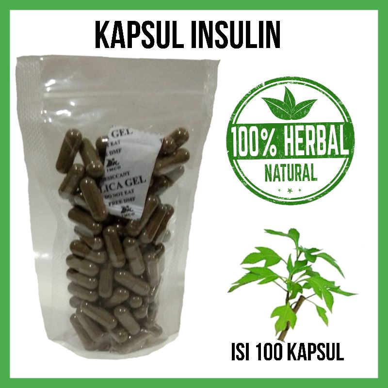 Jual Kapsul Daun Insulin Isi 100 Obat Diabets Shopee Indonesia