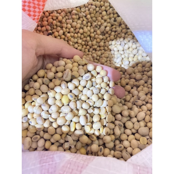 

KEDELAI IMPORT USA per KG