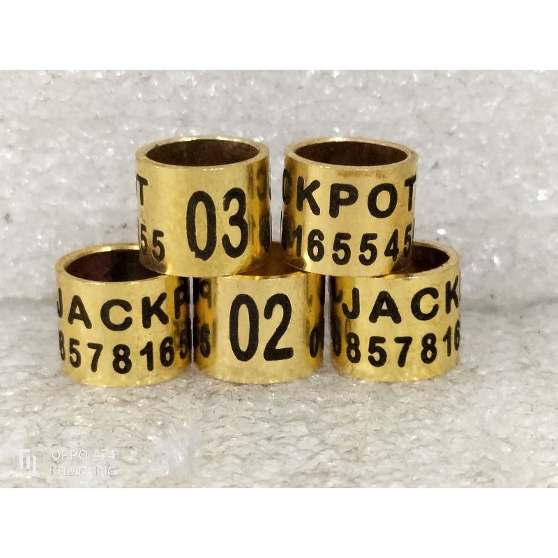 RING BURUNG murai puter perkutut merpati