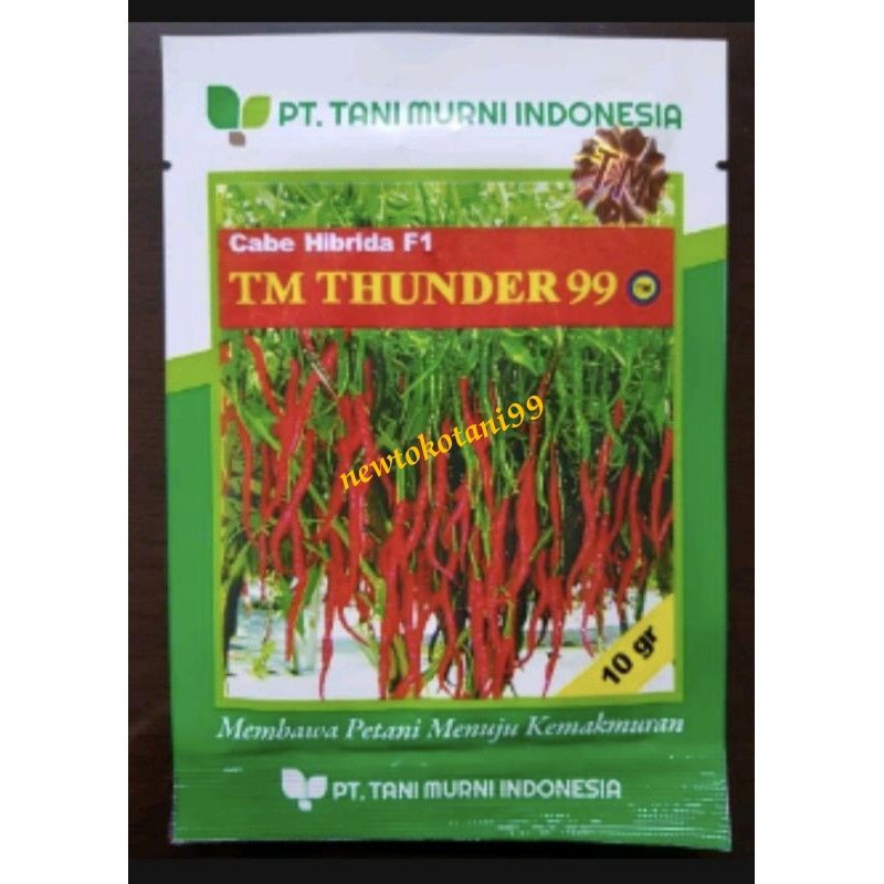 Benih cabe keriting TM THUNDER 99 10 gram cabai hibrida kriting dari tani murni cabe tm thunder 10gr