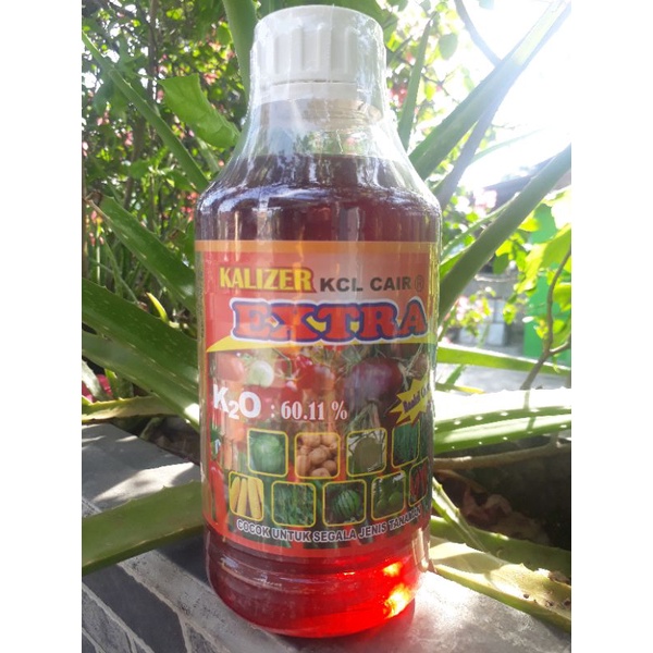Penambah Bobot Padi Bawang Merah KCL CAIR EXTRA K20 60.11% 1Liter