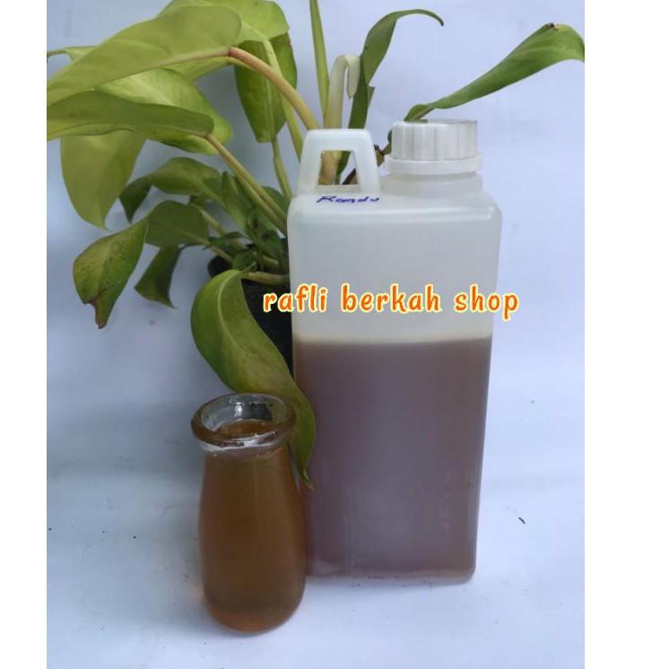 

Dapatkan Sekarang--Madu asli nektar randu 1kg