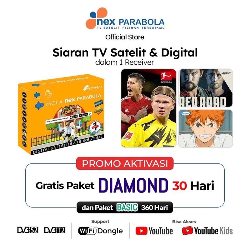 receiver nex parabola termurah