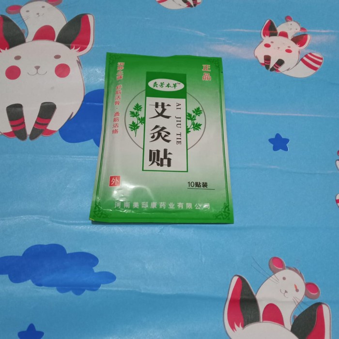 GROSIR 12 PCS KOYO AI JIU TIE TERLARIS