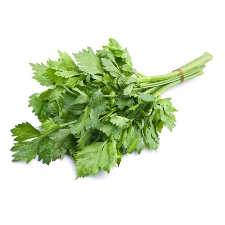 

PS Dau seledri segar 50 gram murah