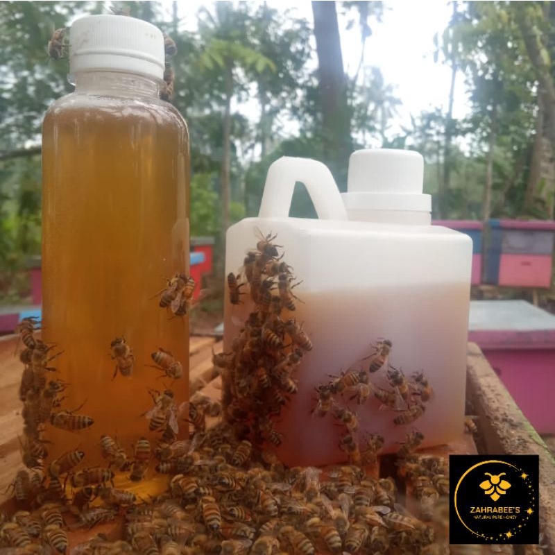 

Madu asli tanpa proses/ Madu asli murni Multiflora 500gram