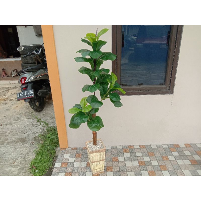 pohon ketapang#pohon ketapang palsu#ketapang hias#pohon ketapang artifiicial#pohon hias ketapang#ket