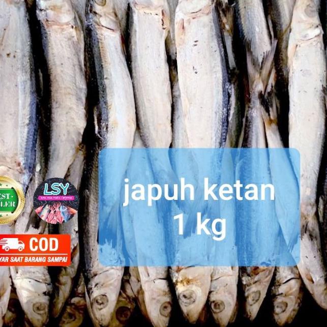 

BAYAR DITEMPAT✔️ikan asin japuh ketan 1kg|KD2