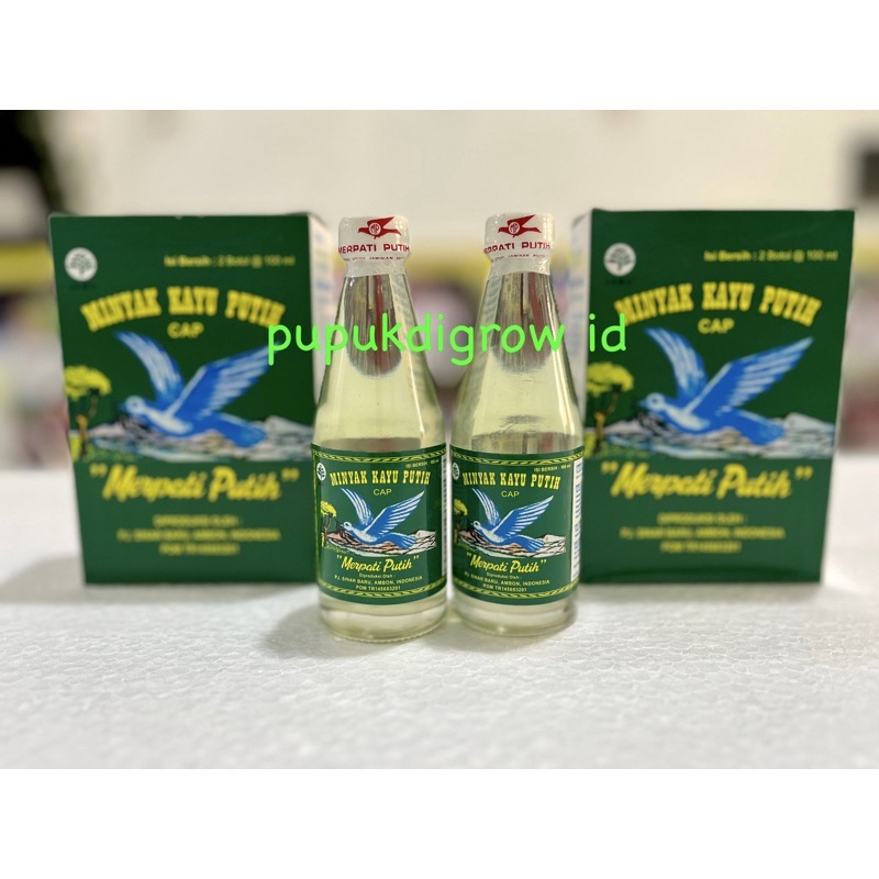 Jual Minyak Kayu Putih Merpati Putih Asli Ambon Kemasan 100ml | Shopee ...