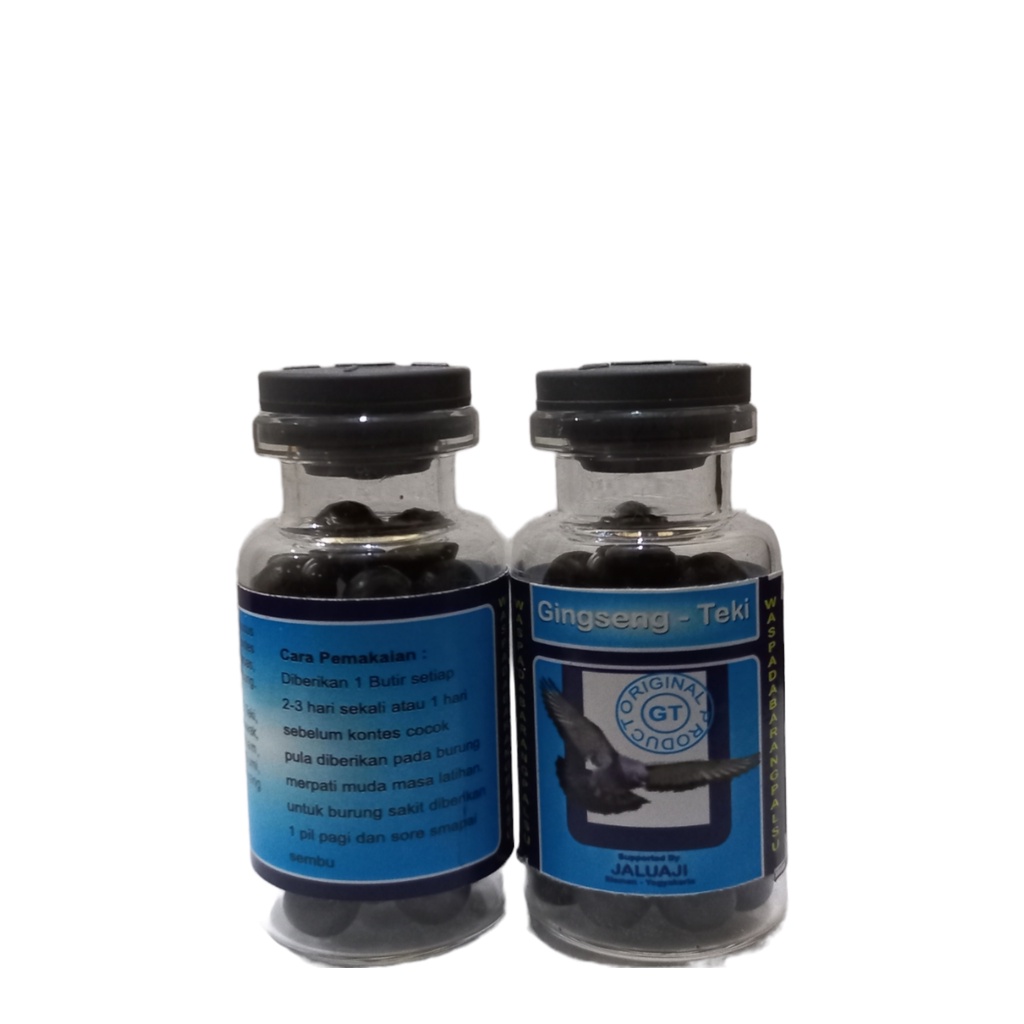GINSENG TEKI DOPING JAMU MERPATI