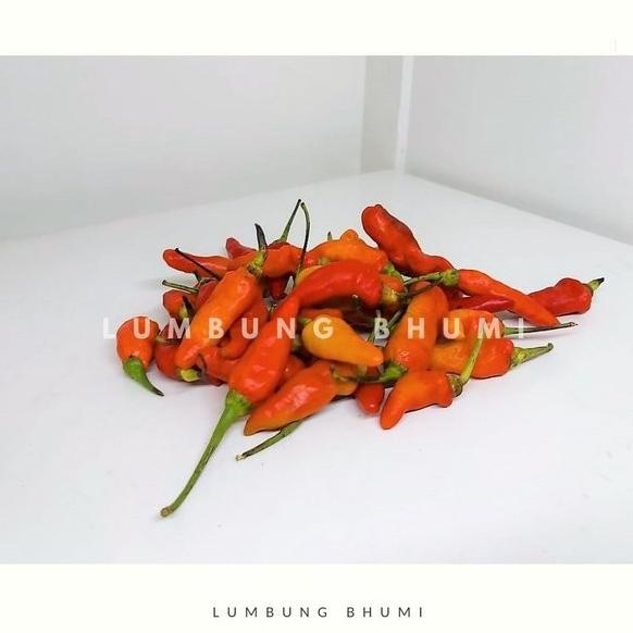 

~~~~~] Cabe Rawit Merah 500 Gr -