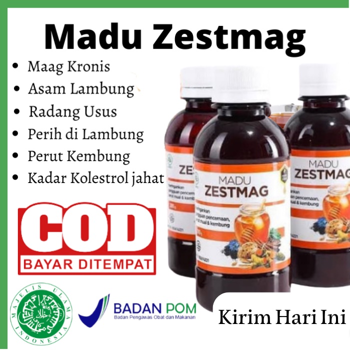

Zetsmag Madu Zestmag Obat Asam Lambung -Zestmag Original - Zetmag Madu Asam Lambung Ampuh