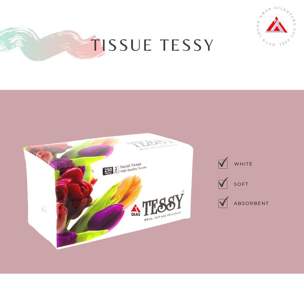 TISSUE SOFTPACK 250'S TESSY (2 PLY) / TISSUE FACIAL TESSY