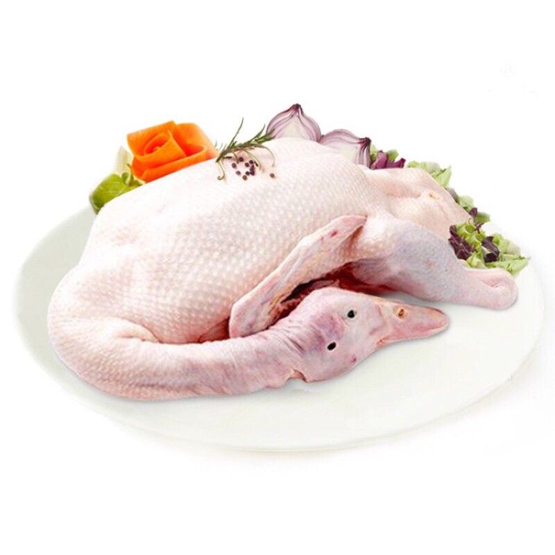 

Bebek pecking ukuran 1kg - 1.1kg bebek frozen
