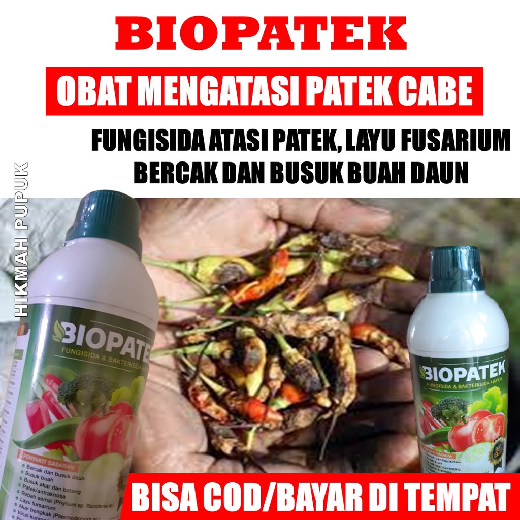 REKOMENDED PUPUK BIOPATEK isi 500 ML Obat Hama Patek Cabe, Busuk Akar, Batang dan Buah Cabe - Pupuk 