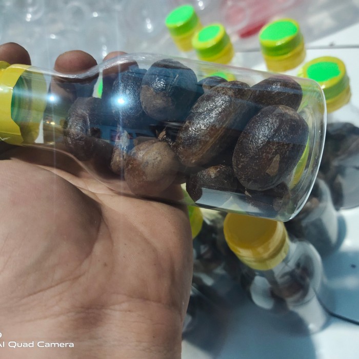 

Buah Pala Lonjong Kemasan Botol Cantik 100gram