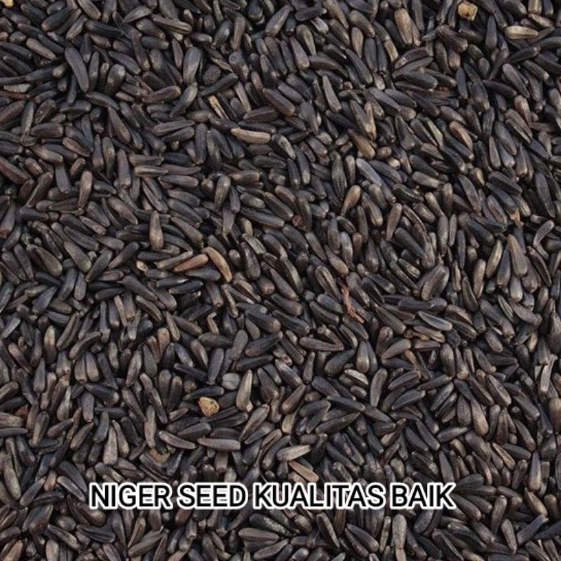 

NIGER SEED